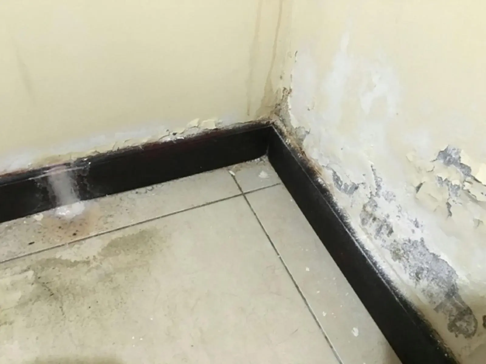 Selling a House with Water Damage or Mold in Washington